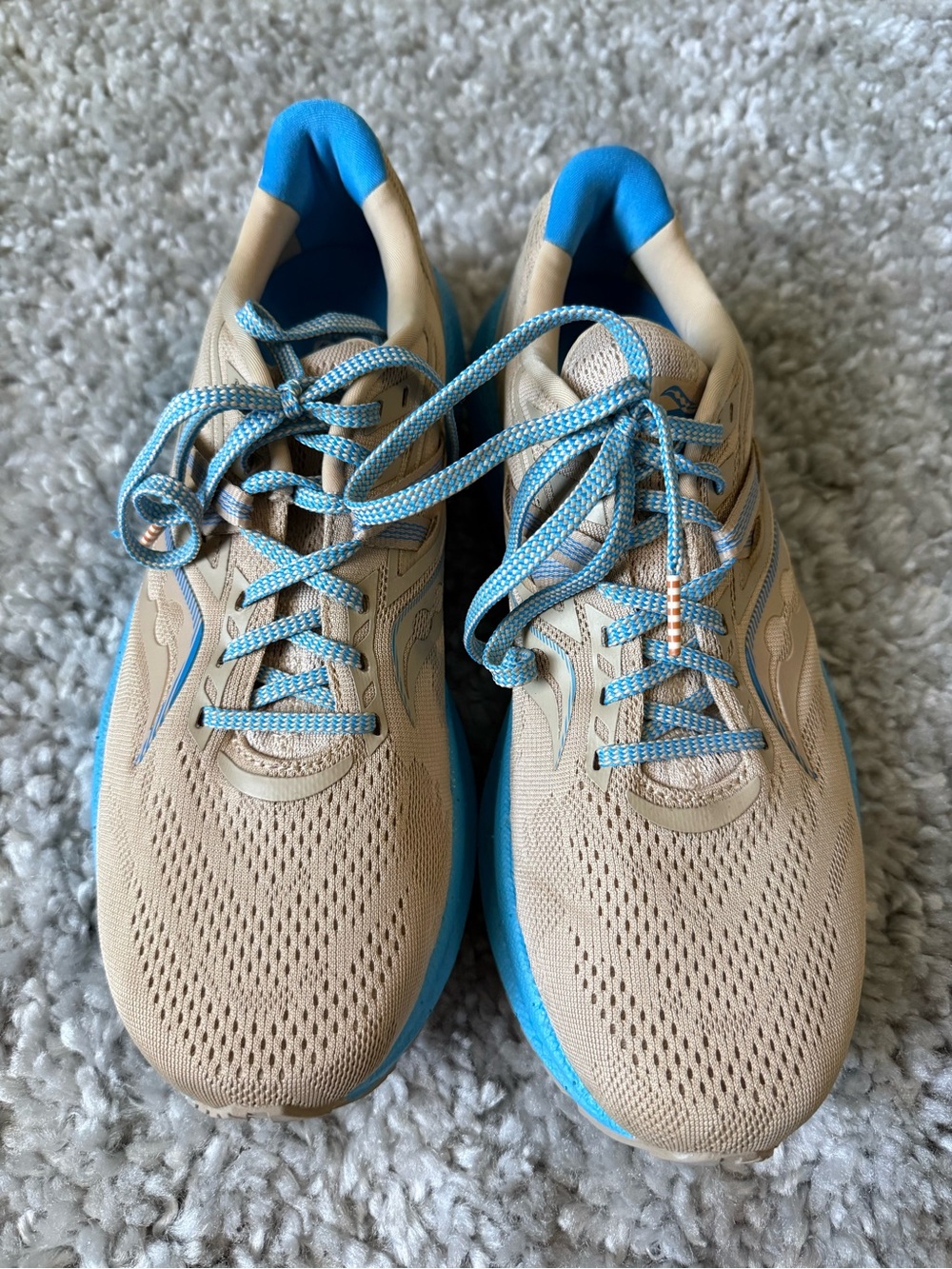 Saucony Triumph 20